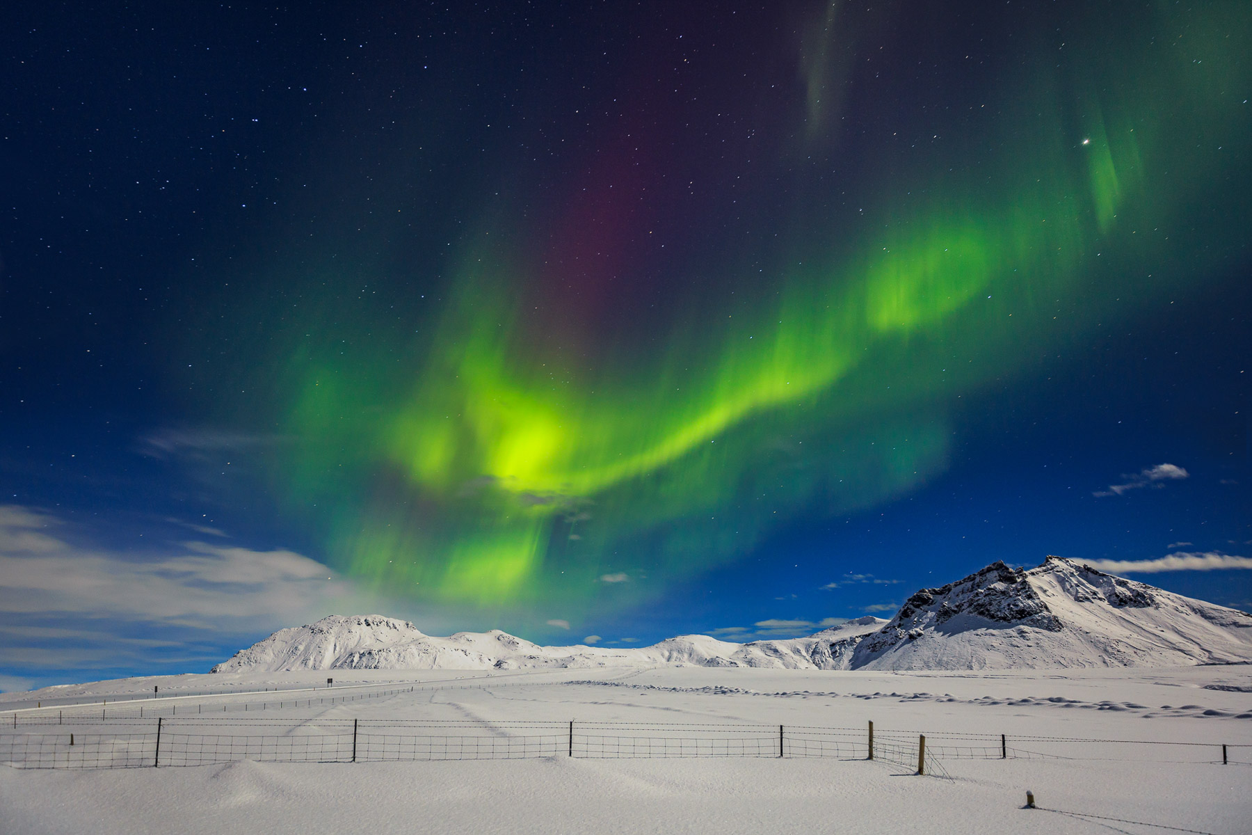 Northern lights everywhere