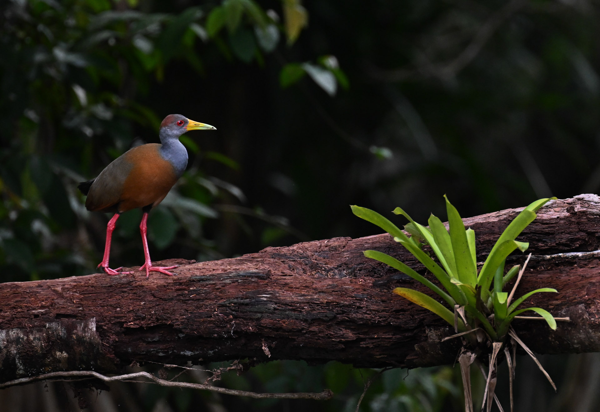 Costa Rica-4