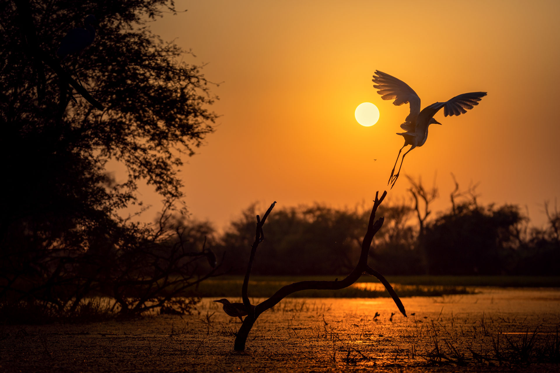 Indien_29