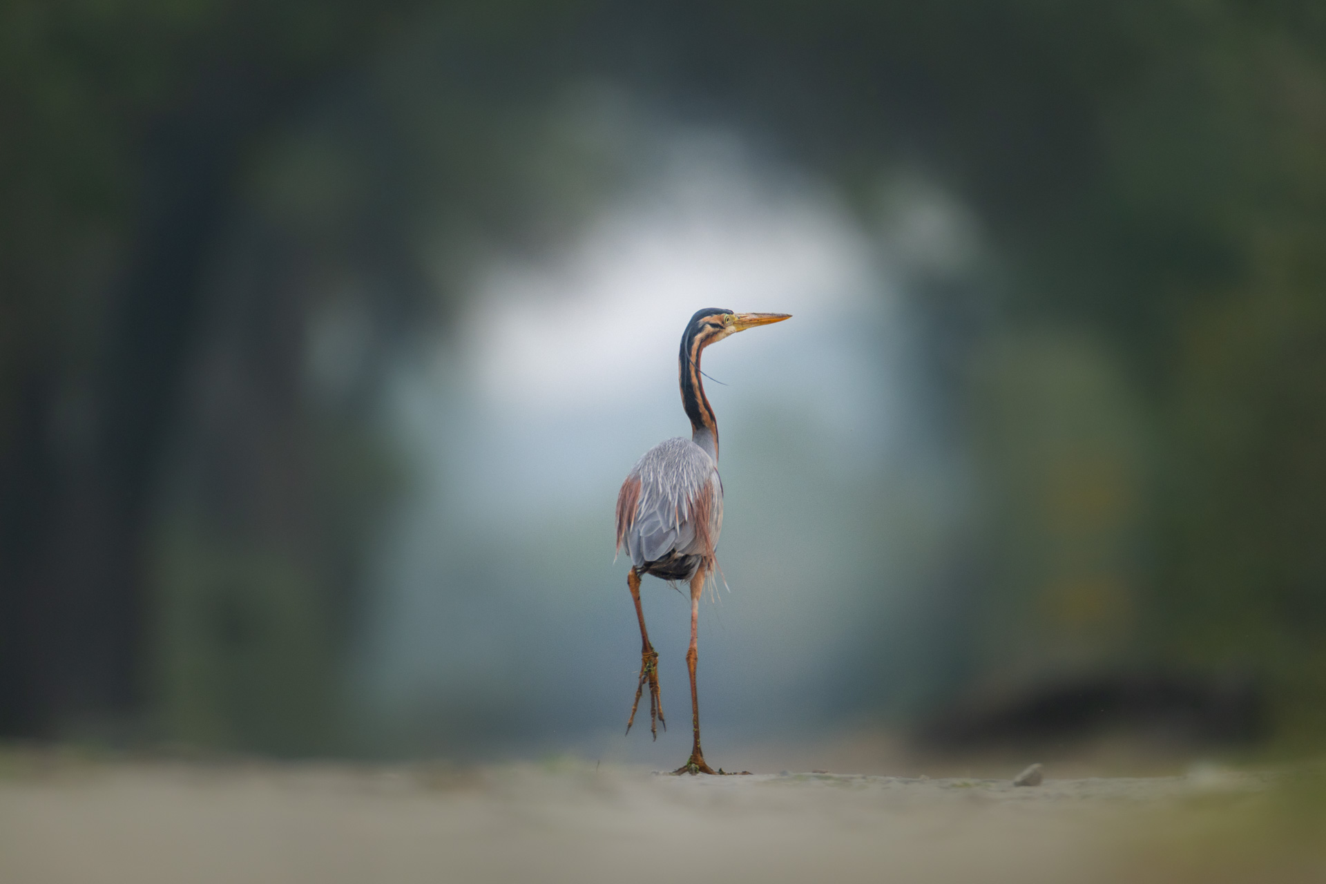 Indien_44