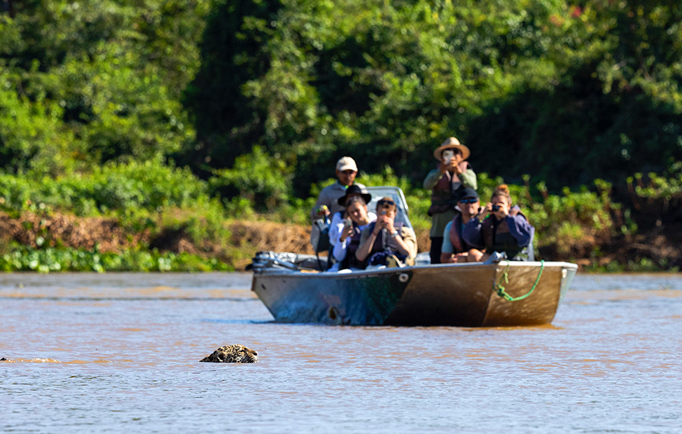 Pantanal-62